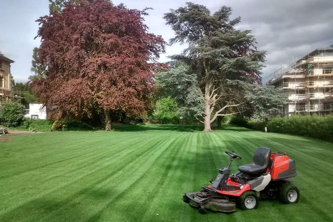 cheltenham lawn mowing services striped residential garden lawn