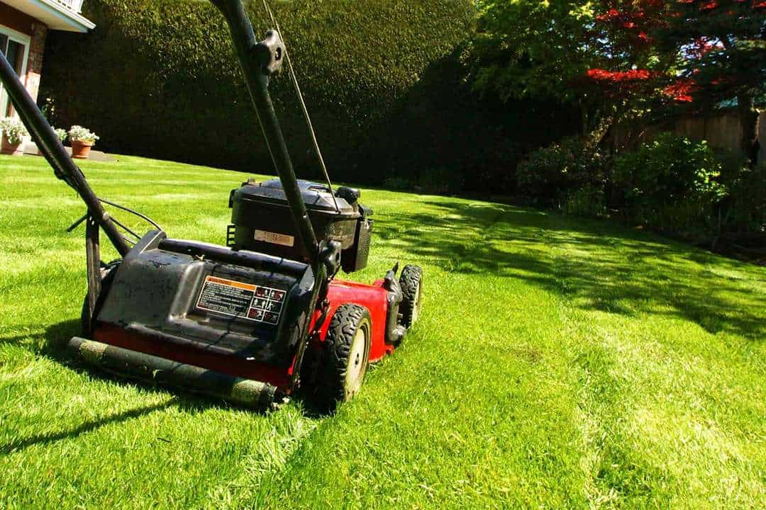tewkesbury lawn mowing services riverside garden lawn fresh cut